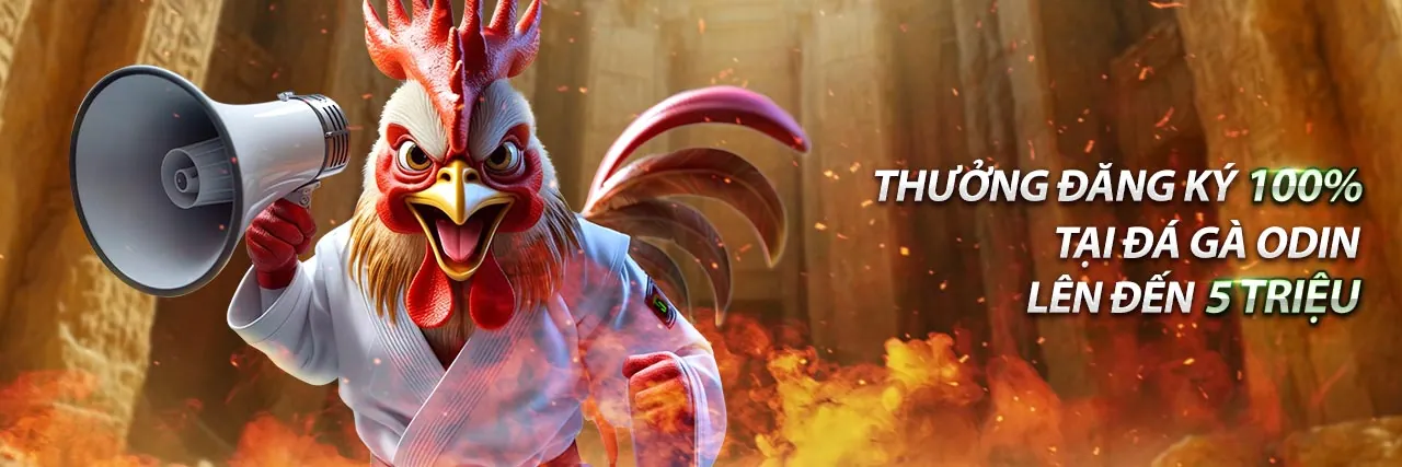 Sòng bạc trực tuyến 55winbet