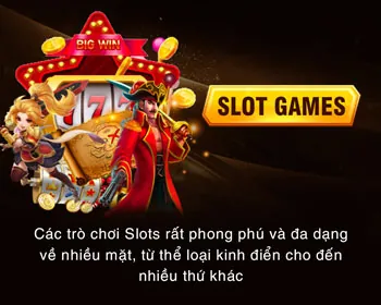 Quản lý tài khoản riêng 55winbet